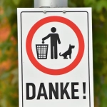 Социальная ответственность немецких игорных платформ онлайн