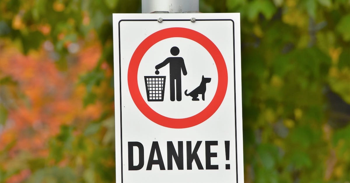 Социальная ответственность немецких игорных платформ онлайн