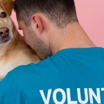 Социальная ответственность в игровой индустрии Wolf Gold