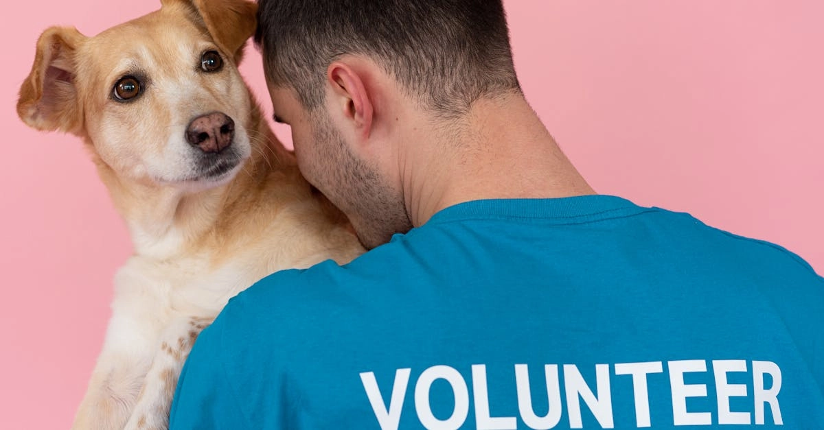 Социальная ответственность в игровой индустрии Wolf Gold